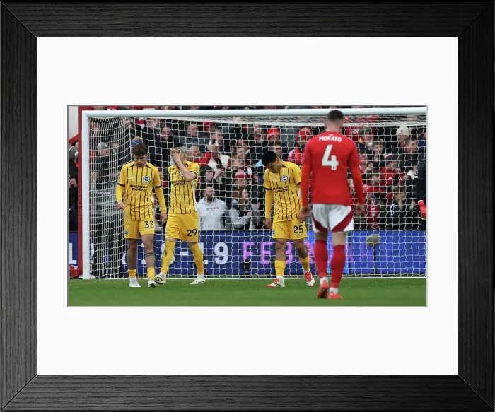 Framed Print : Nottingham Forest v Brighton and Hove Albion Premier League 01FEB25