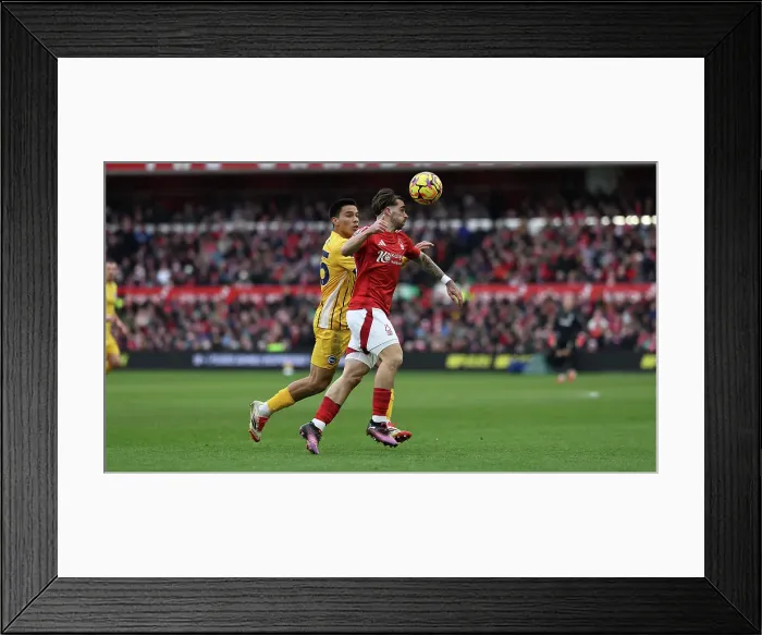 Framed Print : Nottingham Forest v Brighton and Hove Albion Premier League 01FEB25