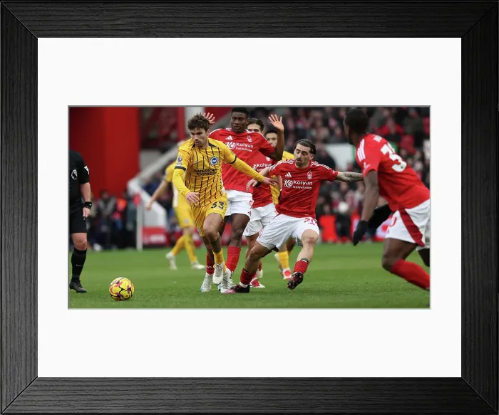 Framed Print : Nottingham Forest v Brighton and Hove Albion Premier League 01FEB25 Framed Print : Nottingham Forest v Brighton and Hove Albion Premier League 01FEB25