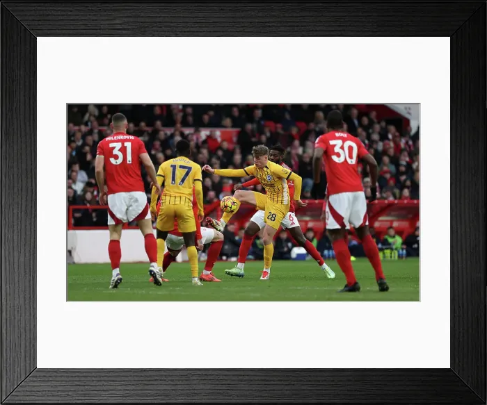 Framed Print : Nottingham Forest v Brighton and Hove Albion Premier League 01FEB25
