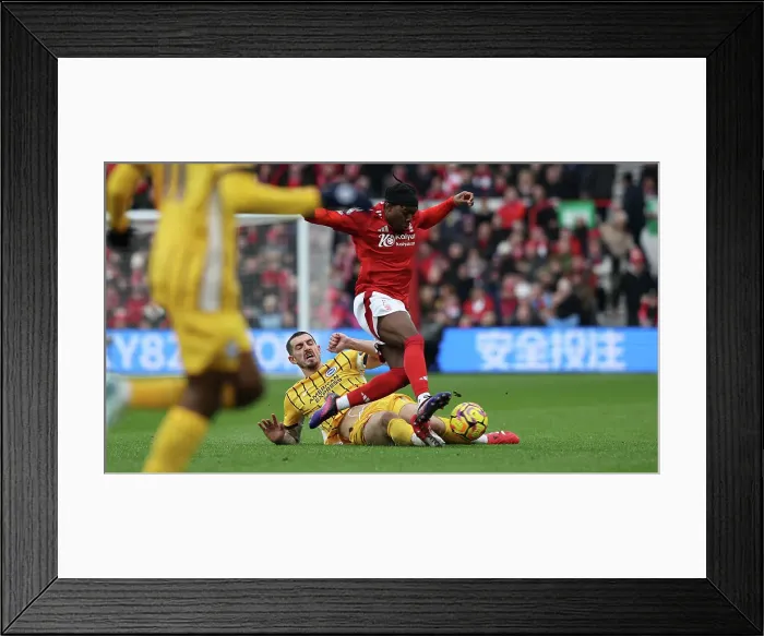 Framed Print : Nottingham Forest v Brighton and Hove Albion Premier League 01FEB25