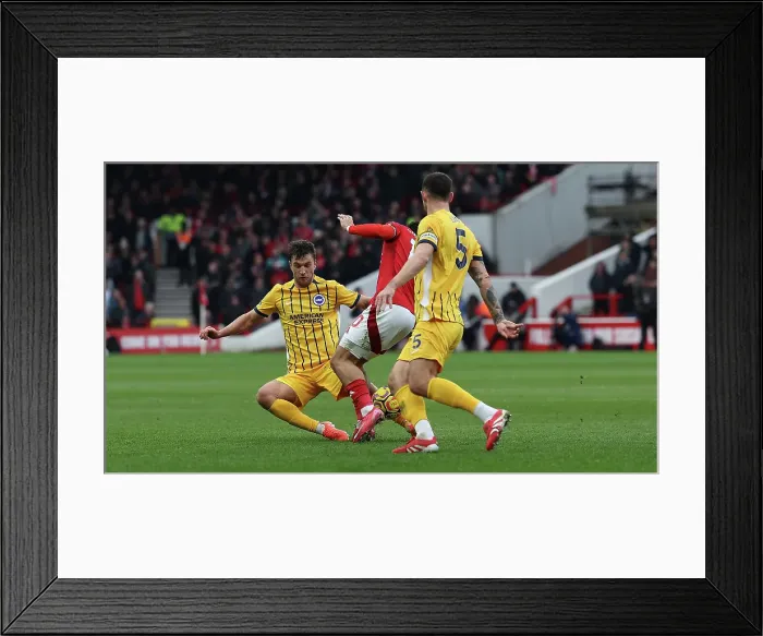 Framed Print : Nottingham Forest v Brighton and Hove Albion Premier League 01FEB25 Framed Print : Nottingham Forest v Brighton and Hove Albion Premier League 01FEB25