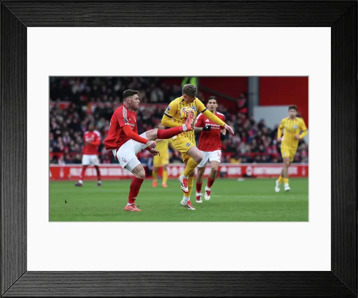 Framed Print : Nottingham Forest v Brighton and Hove Albion Premier League 01FEB25 Framed Print : Nottingham Forest v Brighton and Hove Albion Premier League 01FEB25