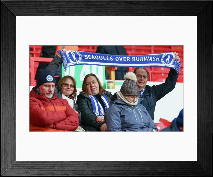 Framed Print : Nottingham Forest v Brighton and Hove Albion Premier League 01FEB25 Framed Print : Nottingham Forest v Brighton and Hove Albion Premier League 01FEB25