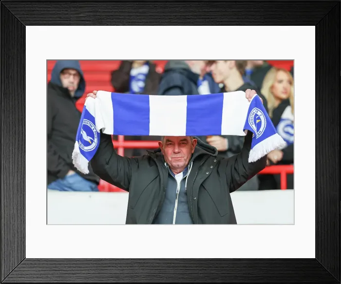 Framed Print : Nottingham Forest v Brighton and Hove Albion Premier League 01FEB25 Framed Print : Nottingham Forest v Brighton and Hove Albion Premier League 01FEB25