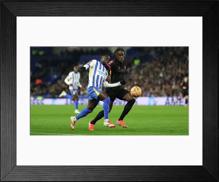 Framed Print : Brighton and Hove Albion v Chelsea FA Cup 5th Round 05FEB25 Framed Print : Brighton and Hove Albion v Chelsea FA Cup 5th Round 05FEB25