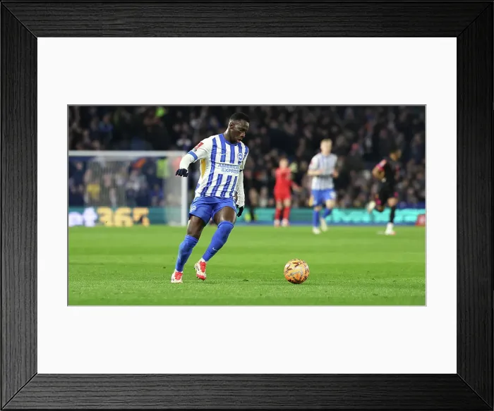 Framed Print : Brighton and Hove Albion v Chelsea FA Cup 5th Round 05FEB25 Framed Print : Brighton and Hove Albion v Chelsea FA Cup 5th Round 05FEB25