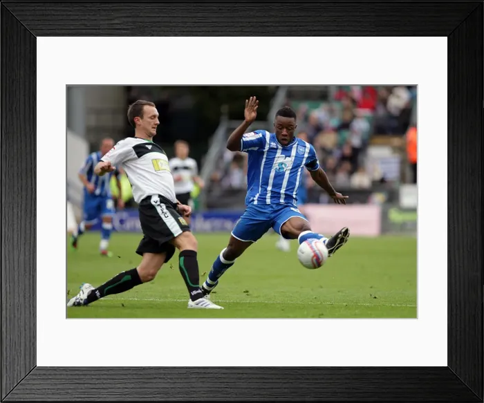 Framed Print : Brighton & Hove Albion: 2010-11 Home Season - Yeovil Town Match