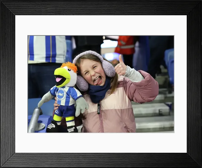 Framed Print : Brighton and Hove Albion v Chelsea Premier League 14FEB25 Framed Print : Brighton and Hove Albion v Chelsea Premier League 14FEB25
