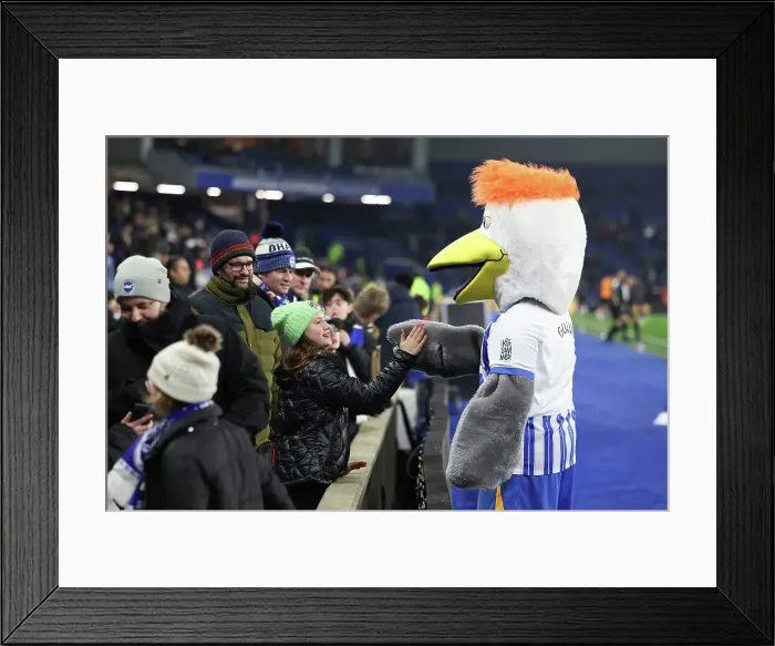 Framed Print : Brighton and Hove Albion v Chelsea Premier League 14FEB25 Framed Print : Brighton and Hove Albion v Chelsea Premier League 14FEB25
