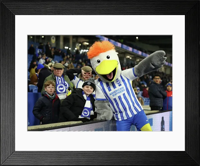 Framed Print : Brighton and Hove Albion v Chelsea Premier League 14FEB25 Framed Print : Brighton and Hove Albion v Chelsea Premier League 14FEB25