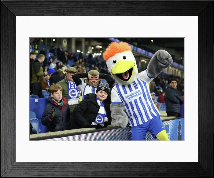 Framed Print : Brighton and Hove Albion v Chelsea Premier League 14FEB25
