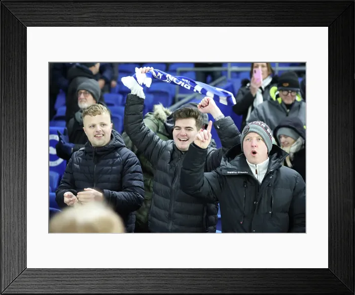 Framed Print : Brighton and Hove Albion v Chelsea Premier League 14FEB25