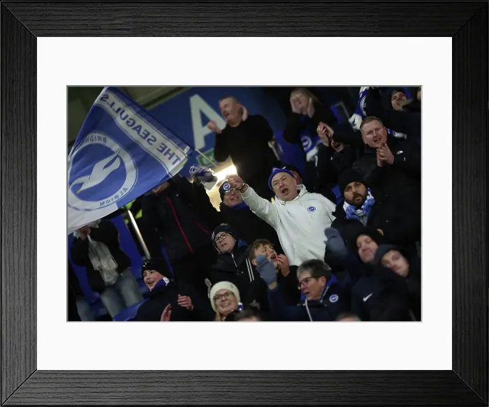Framed Print : Brighton and Hove Albion v Chelsea Premier League 14FEB25