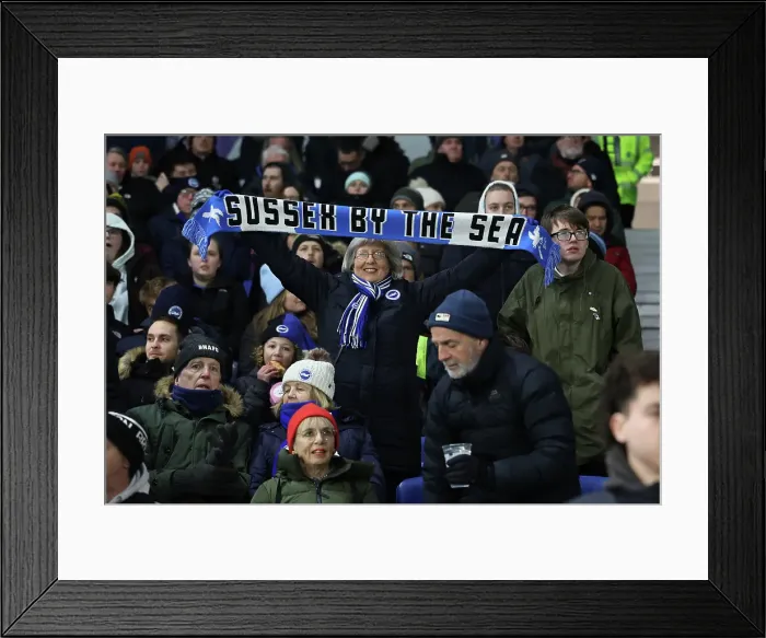 Framed Print : Brighton and Hove Albion v Chelsea Premier League 14FEB25