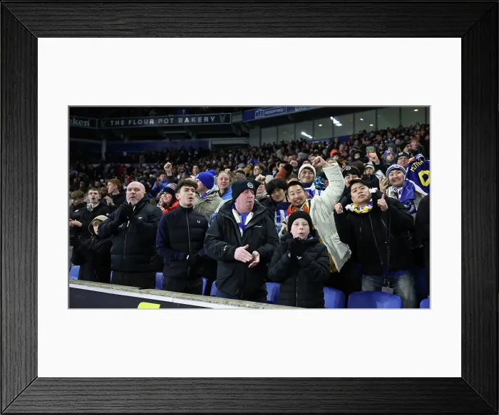 Framed Print : Brighton and Hove Albion v Chelsea Premier League 14FEB25