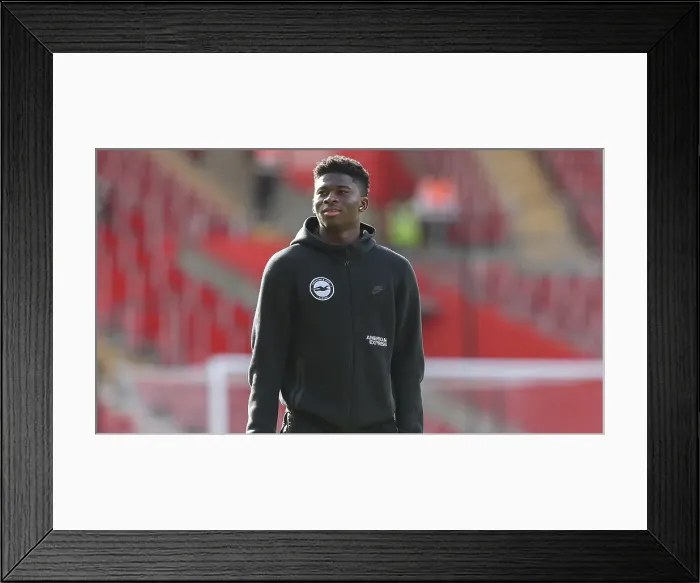 Framed Print : Southampton and Brighton and Hove Albion Premier League 22FEB25 Framed Print : Southampton and Brighton and Hove Albion Premier League 22FEB25