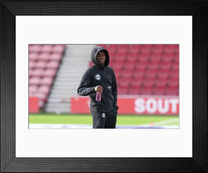 Framed Print : Southampton and Brighton and Hove Albion Premier League 22FEB25 Framed Print : Southampton and Brighton and Hove Albion Premier League 22FEB25