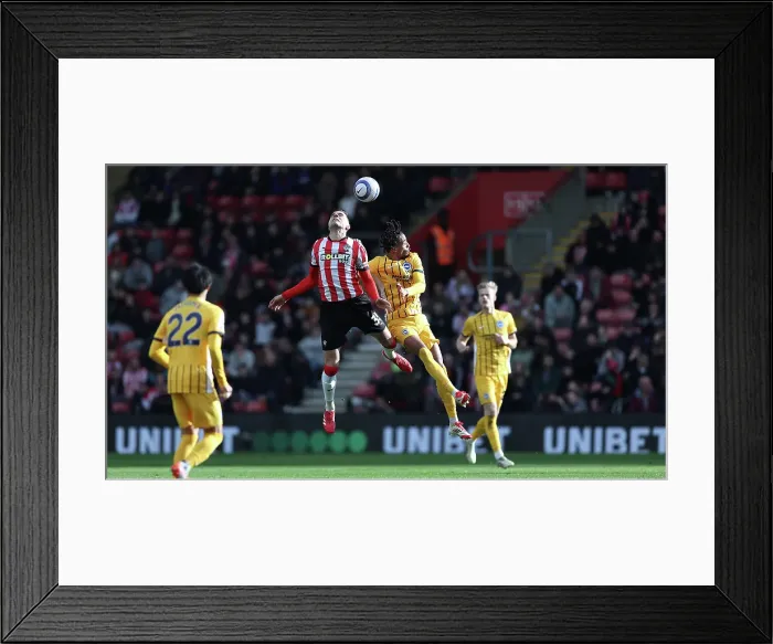 Framed Print : Southampton and Brighton and Hove Albion Premier League 22FEB25 Framed Print : Southampton and Brighton and Hove Albion Premier League 22FEB25