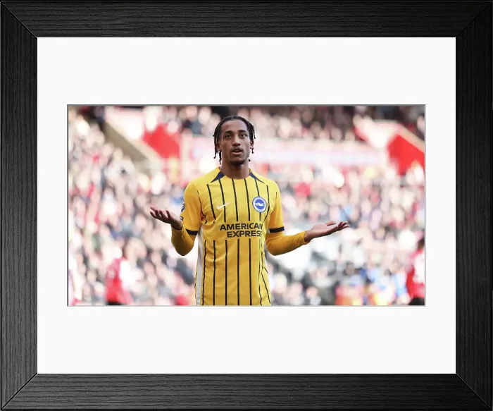 Framed Print : Southampton and Brighton and Hove Albion Premier League 22FEB25 Framed Print : Southampton and Brighton and Hove Albion Premier League 22FEB25