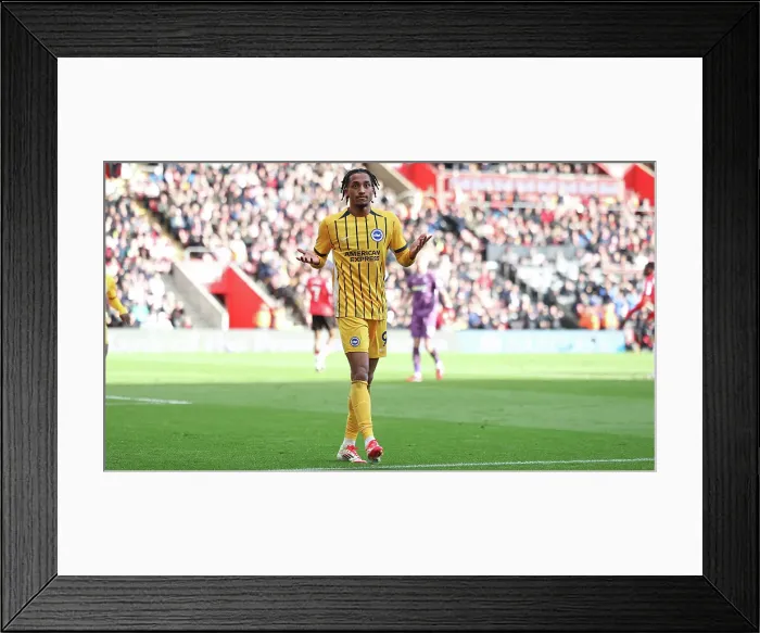 Framed Print : Southampton and Brighton and Hove Albion Premier League 22FEB25 Framed Print : Southampton and Brighton and Hove Albion Premier League 22FEB25