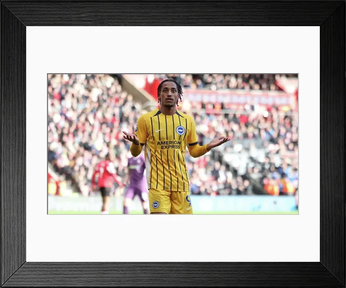 Framed Print : Southampton and Brighton and Hove Albion Premier League 22FEB25 Framed Print : Southampton and Brighton and Hove Albion Premier League 22FEB25