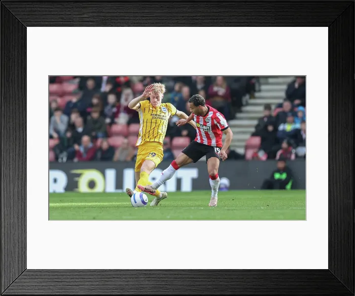 Framed Print : Southampton and Brighton and Hove Albion Premier League 22FEB25 Framed Print : Southampton and Brighton and Hove Albion Premier League 22FEB25