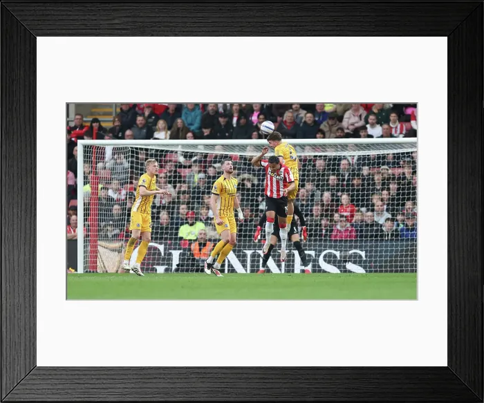 Framed Print : Southampton and Brighton and Hove Albion Premier League 22FEB25 Framed Print : Southampton and Brighton and Hove Albion Premier League 22FEB25