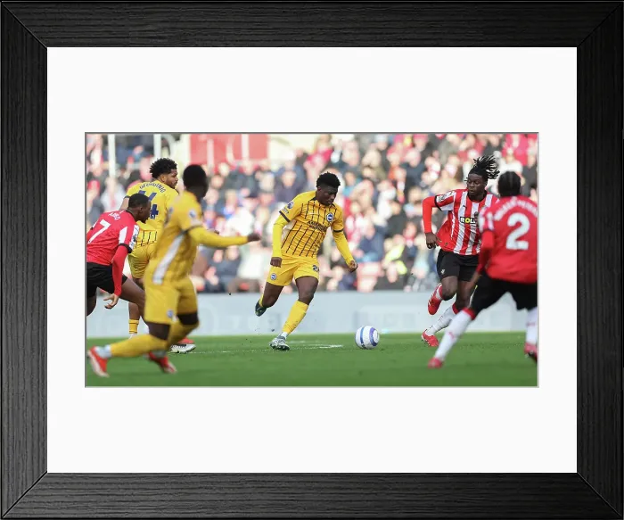 Framed Print : Southampton and Brighton and Hove Albion Premier League 22FEB25 Framed Print : Southampton and Brighton and Hove Albion Premier League 22FEB25