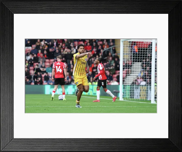 Framed Print : Southampton and Brighton and Hove Albion Premier League 22FEB25 Framed Print : Southampton and Brighton and Hove Albion Premier League 22FEB25