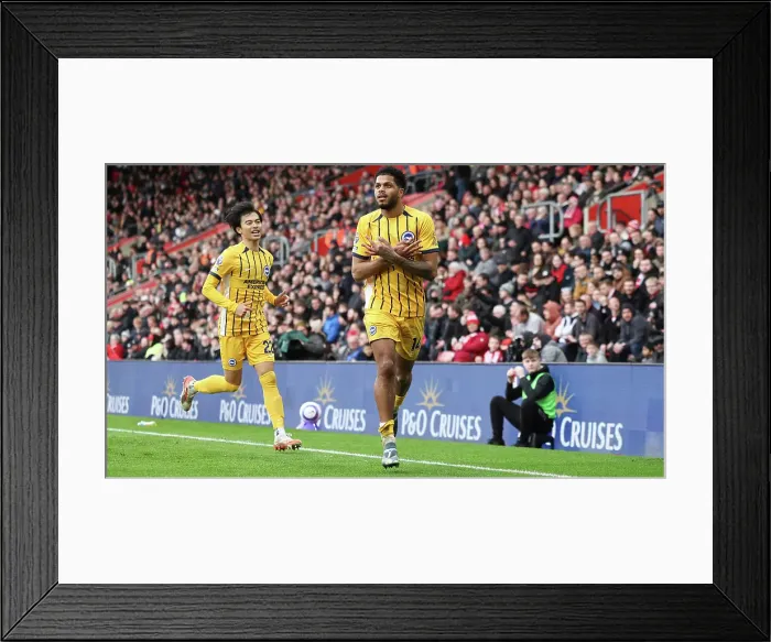 Framed Print : Southampton and Brighton and Hove Albion Premier League 22FEB25 Framed Print : Southampton and Brighton and Hove Albion Premier League 22FEB25