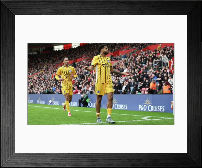 Framed Print : Southampton and Brighton and Hove Albion Premier League 22FEB25
