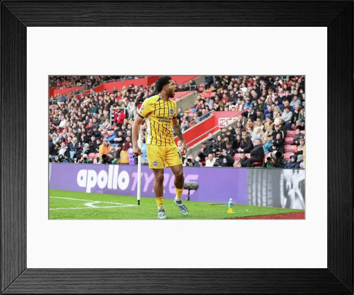 Framed Print : Southampton and Brighton and Hove Albion Premier League 22FEB25 Framed Print : Southampton and Brighton and Hove Albion Premier League 22FEB25