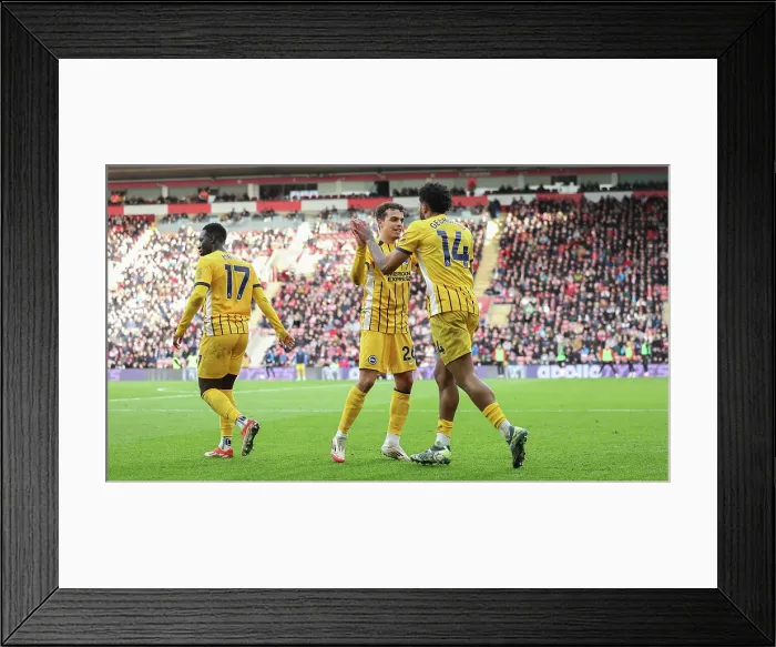 Framed Print : Southampton and Brighton and Hove Albion Premier League 22FEB25 Framed Print : Southampton and Brighton and Hove Albion Premier League 22FEB25