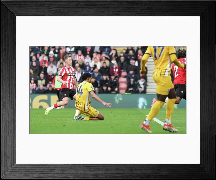 Framed Print : Southampton and Brighton and Hove Albion Premier League 22FEB25 Framed Print : Southampton and Brighton and Hove Albion Premier League 22FEB25