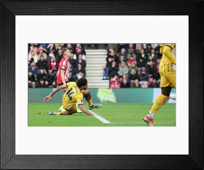 Framed Print : Southampton and Brighton and Hove Albion Premier League 22FEB25 Framed Print : Southampton and Brighton and Hove Albion Premier League 22FEB25