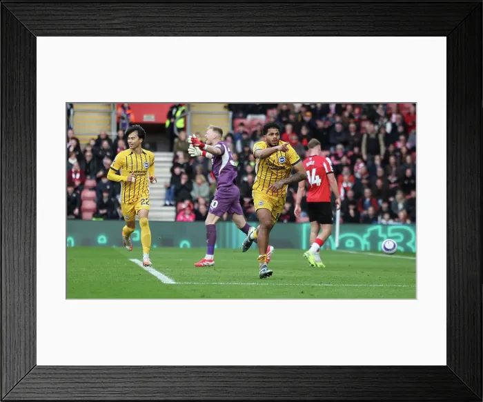 Framed Print : Southampton and Brighton and Hove Albion Premier League 22FEB25 Framed Print : Southampton and Brighton and Hove Albion Premier League 22FEB25
