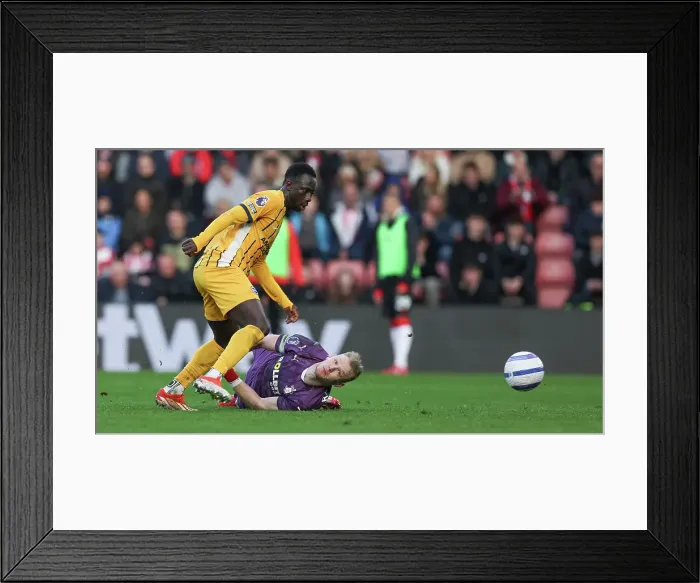 Framed Print : Southampton and Brighton and Hove Albion Premier League 22FEB25