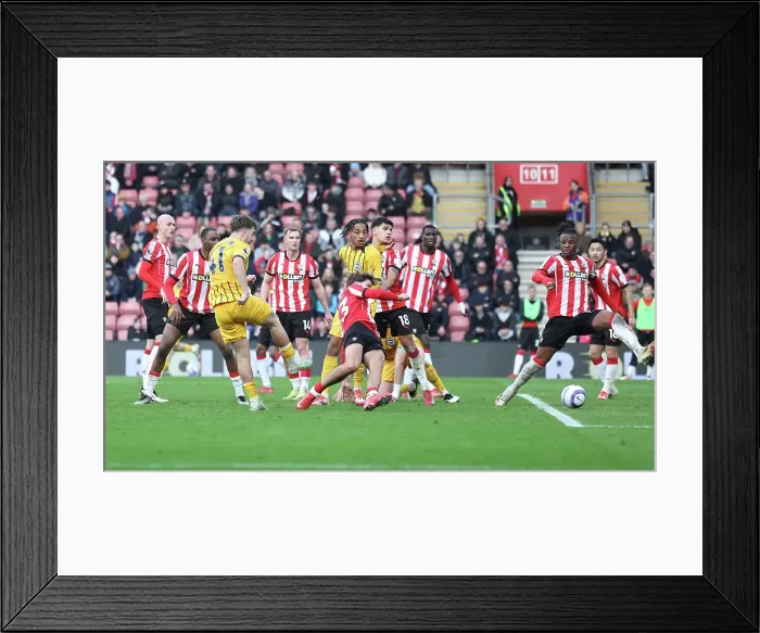 Framed Print : Southampton and Brighton and Hove Albion Premier League 22FEB25