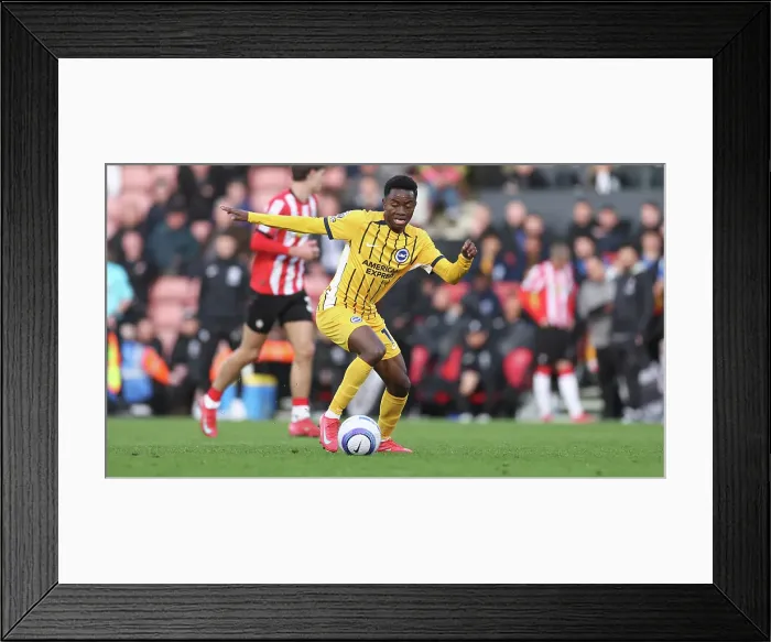 Framed Print : Southampton and Brighton and Hove Albion Premier League 22FEB25
