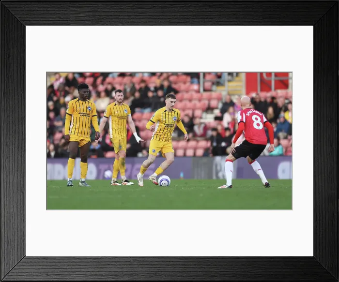 Framed Print : Southampton and Brighton and Hove Albion Premier League 22FEB25 Framed Print : Southampton and Brighton and Hove Albion Premier League 22FEB25