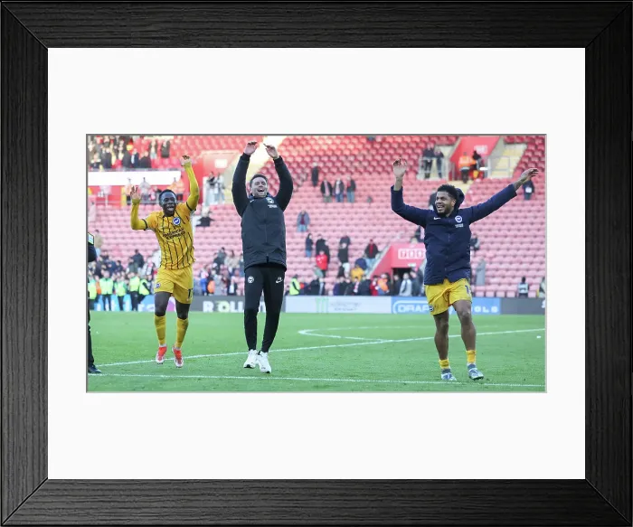 Framed Print : Southampton and Brighton and Hove Albion Premier League 22FEB25 Framed Print : Southampton and Brighton and Hove Albion Premier League 22FEB25
