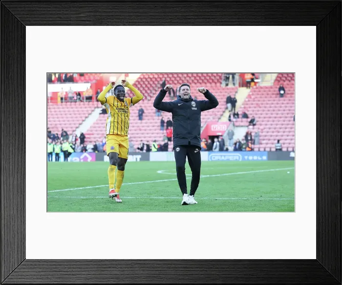 Framed Print : Southampton and Brighton and Hove Albion Premier League 22FEB25 Framed Print : Southampton and Brighton and Hove Albion Premier League 22FEB25