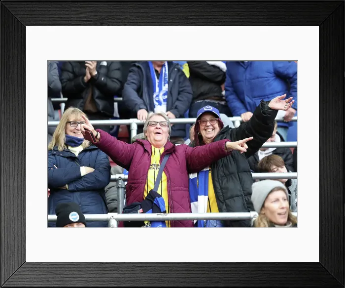 Framed Print : Southampton and Brighton and Hove Albion Premier League 22FEB25 Framed Print : Southampton and Brighton and Hove Albion Premier League 22FEB25