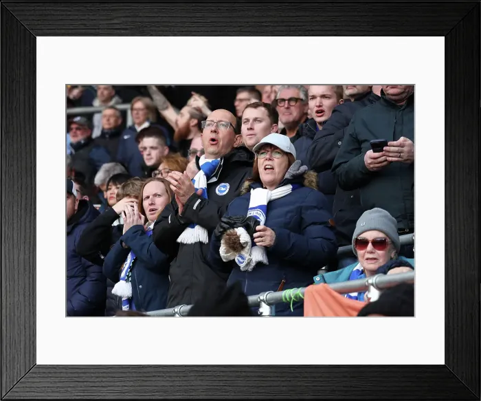 Framed Print : Southampton and Brighton and Hove Albion Premier League 22FEB25 Framed Print : Southampton and Brighton and Hove Albion Premier League 22FEB25
