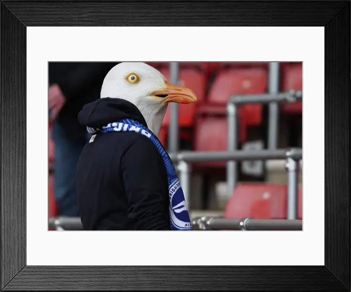 Framed Print : Southampton and Brighton and Hove Albion Premier League 22FEB25 Framed Print : Southampton and Brighton and Hove Albion Premier League 22FEB25