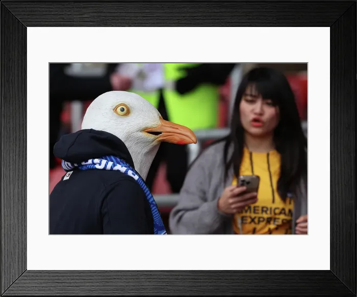 Framed Print : Southampton and Brighton and Hove Albion Premier League 22FEB25 Framed Print : Southampton and Brighton and Hove Albion Premier League 22FEB25