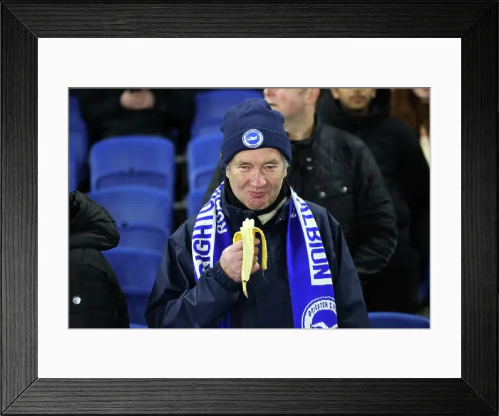 Framed Print : Brighton and Hove Albion v Bournemouth Premier League 25FEB25 Framed Print : Brighton and Hove Albion v Bournemouth Premier League 25FEB25