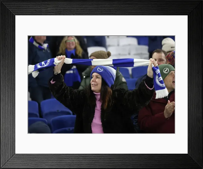Framed Print : Brighton and Hove Albion v Bournemouth Premier League 25FEB25