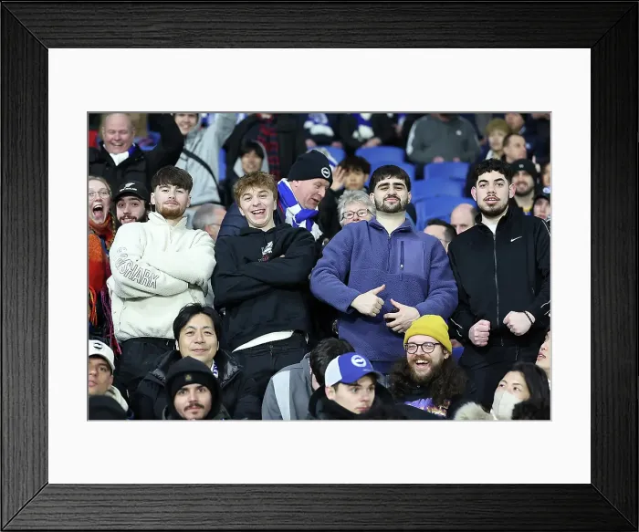 Framed Print : Brighton and Hove Albion v Bournemouth Premier League 25FEB25